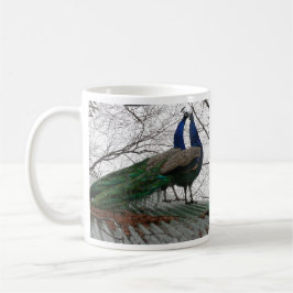 Tasse zur Peacock-Abbildung
