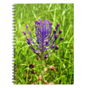 Tassel-Hyacinth Spiral Foto Notebook Notizblock