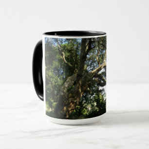 Tassen-Kombination mit altem Baumfoto und Klingelt Tasse