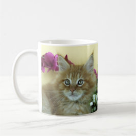 Tassen-Maine-Waschbärkätzchen Kaffeetasse