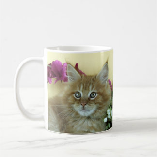 Tassen-Maine-Waschbärkätzchen Kaffeetasse