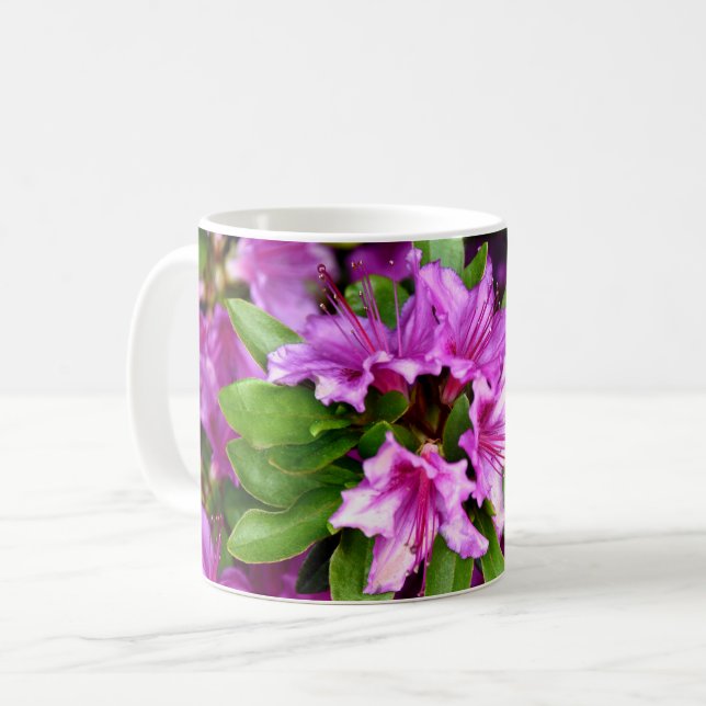 Tasses d'Azelia (Devant gauche)