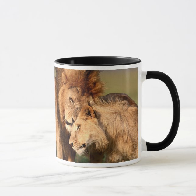 Tasses de lion (Droite)
