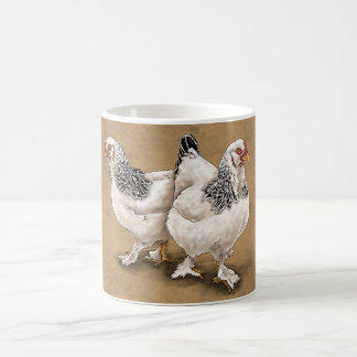 Tasses de poulet de Brahma