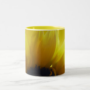 Tasses de tournesol Tasses Jaunes gaies Lunettes