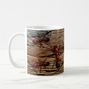 Tasses "infestées" en bois d'Antz N
