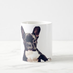 Tasses mignonnes de chien