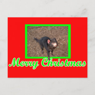 Tassie Devil Postkarte