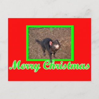 Tassie Devil Postkarte