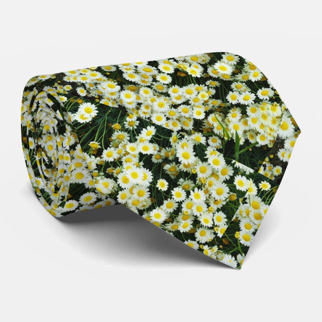 Tasten der Gelben Dainty Daisy-Blume, Krawatte (Gerollt)