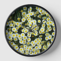 Tasten der Gelben Dainty Daisy-Blume,