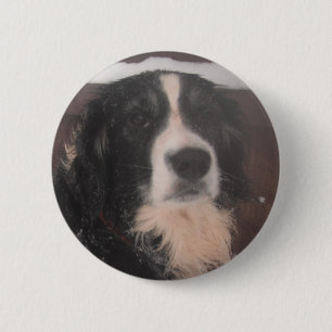 Tastensprollie im Schnee Button