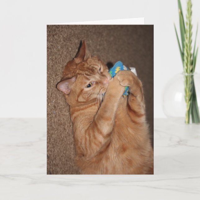 Tater Karte (Vorderseite)