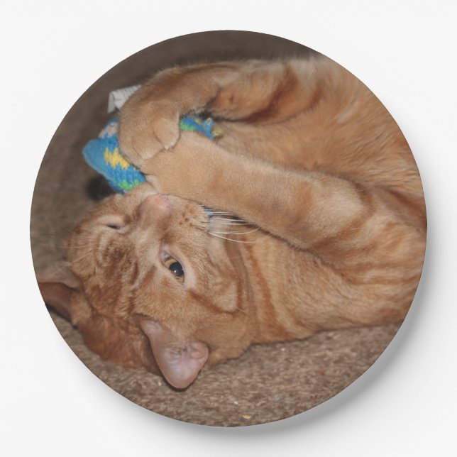 Tater Pappteller (Vorderseite)