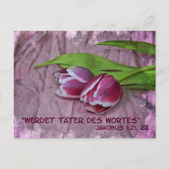 Täter Wortes Postkarte (Vorderseite)