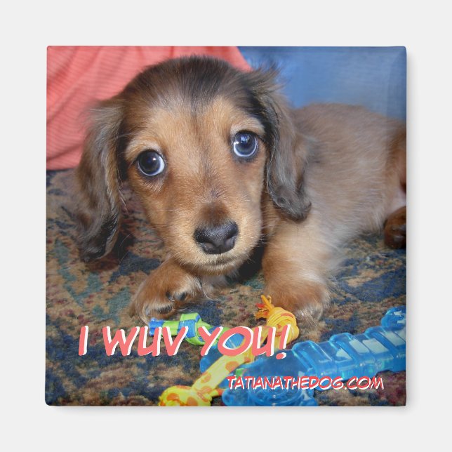 TatianaDer Hund Welpenmagnet - ICH WUV DICH! Magnet (Vorne)