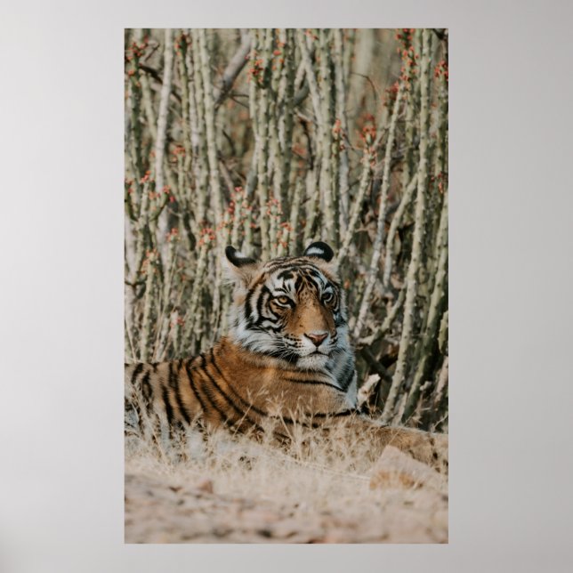 TÄTIGER IM WILD-RESTING POSTER (Vorne)