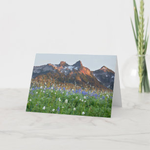 Tatoosh-Bereich und Wildblumen   Rainier Karte