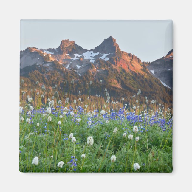 Tatoosh-Bereich und Wildblumen | Rainier Magnet (Vorne)