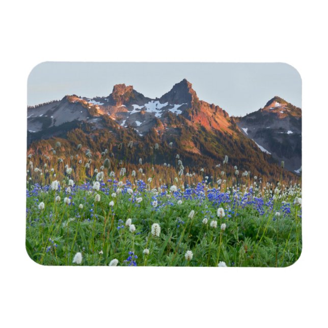 Tatoosh-Bereich und Wildblumen | Rainier Magnet (Horizontal)