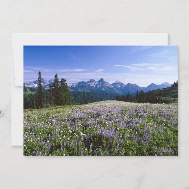 Tatoosh Mountain Range (Vorderseite)