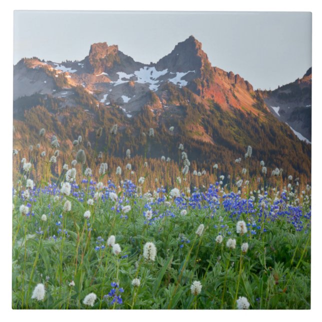 Tatoosh Range and Wildflowers | Mt. Rainier Fliese (Vorderseite)
