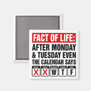 Tatsache des Lebens Kalender sagt WTF Humor Magnet