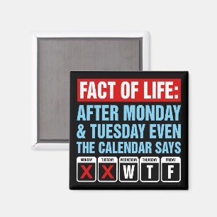 Tatsache des Lebens Kalender sagt WTF Humor Magnet