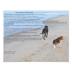 Tatze druckt im Sand 14" x 11" Druck