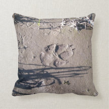 Tatze druckt (Natur-Reihen)