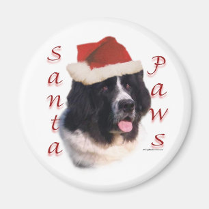 Tatzen Neufundlands (landseer) Sankt Magnet