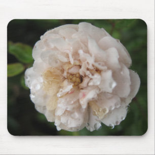Tau auf einer Blume Mousepad