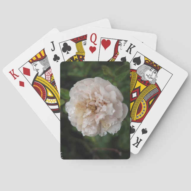 Tau auf einer Blume Spielkarten (Rückseite)