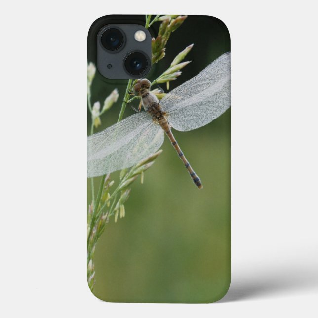 Tau bedeckte Darner Libelle Case-Mate iPhone Hülle (Rückseite)