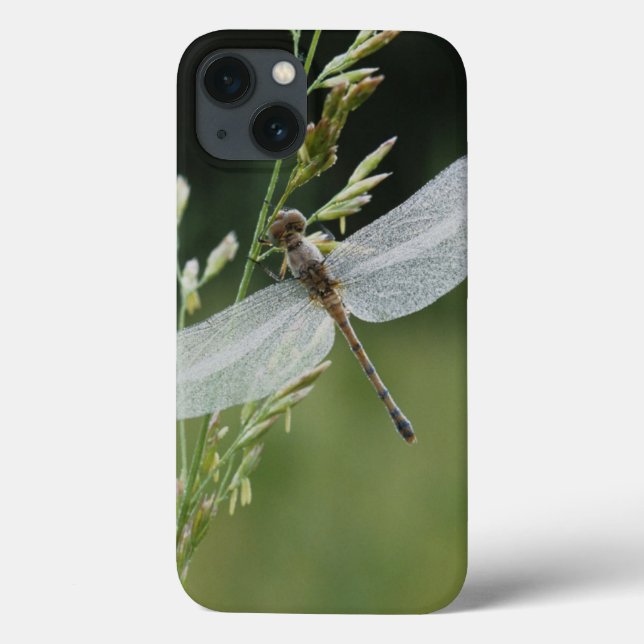 Tau bedeckte Darner Libelle Case-Mate iPhone Hülle (Rückseite)