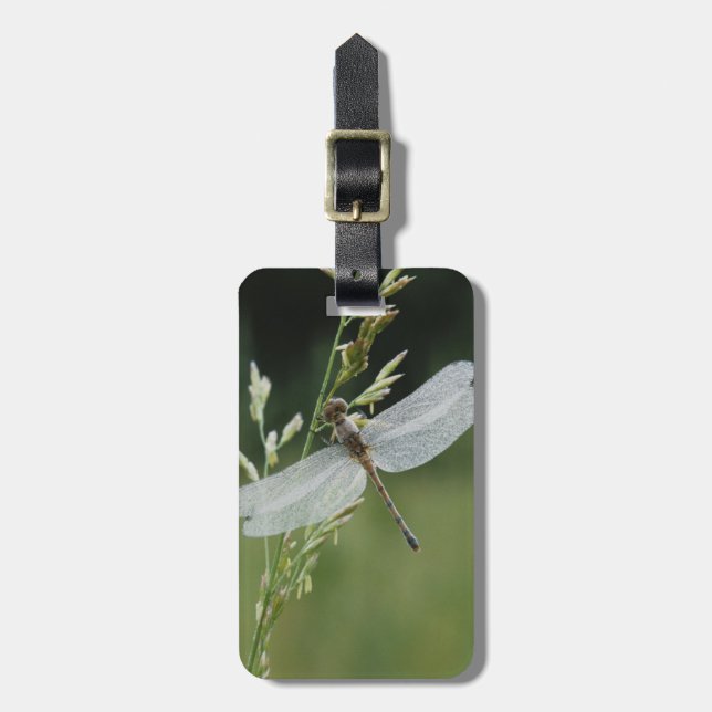 Tau bedeckte Darner Libelle Gepäckanhänger (Vorderseite vertikal)