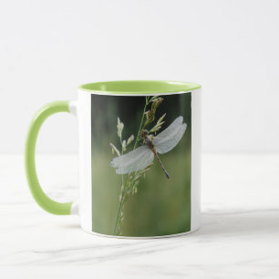 Tau bedeckte Darner Libelle Tasse
