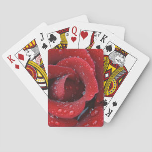 Tau bedeckte rote Rose, die Grabstätte in Spielkarten