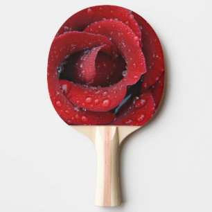Tau bedeckte rote Rose, die Grabstätte in Tischtennis Schläger