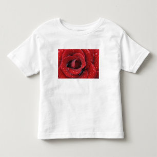 Tau bedeckte rote Rose schmückt Grabstelle in Kleinkind T-shirt