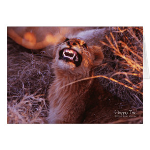 Tau heureux, jeune lion souriant