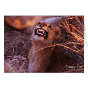 Tau heureux, lion CUB de sourire