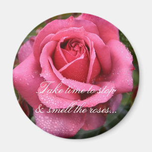 Tau küsste rosa Rose! Magnet
