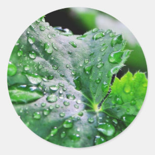 Tau Wassertropfen Tropfen Runder Aufkleber