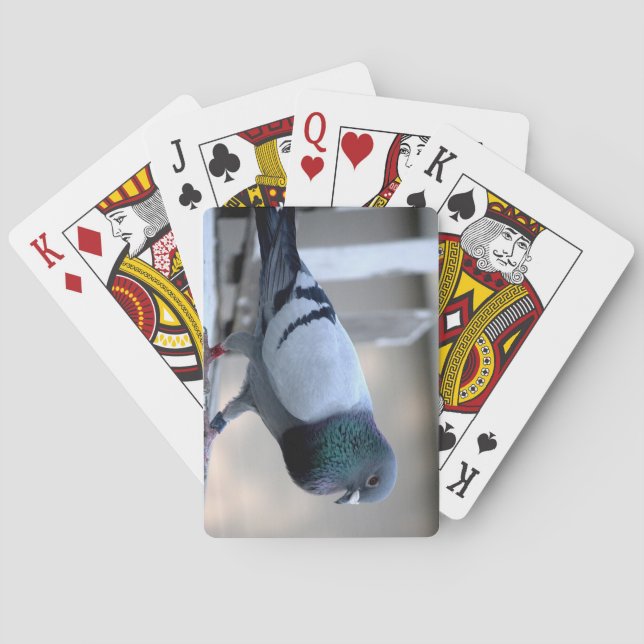 Taube auf den Loft spielen Karten Spielkarten (Rückseite)