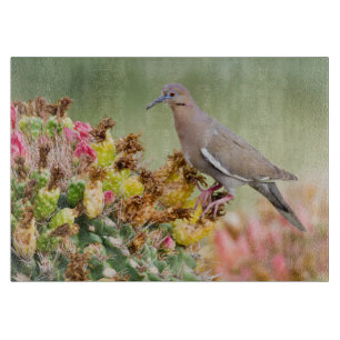 Taube auf einem Kaktus Schneidebrett