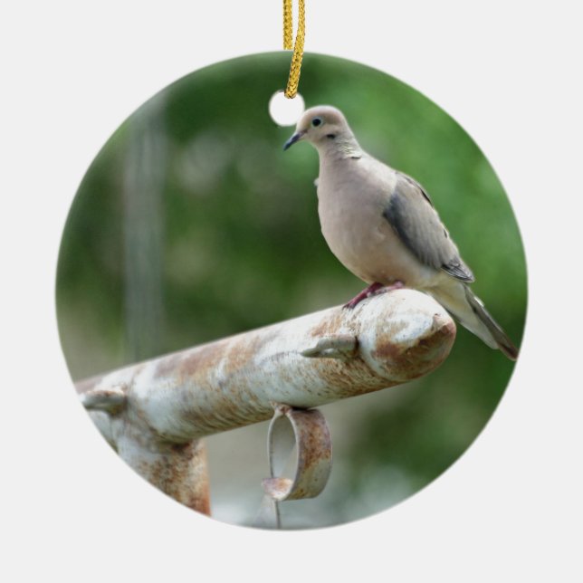 Taube auf einem Posten Keramikornament (Vorne)