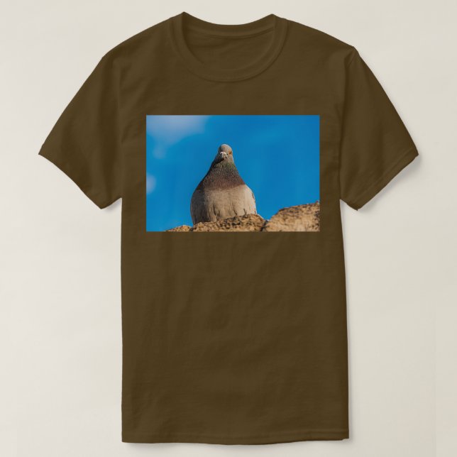 Taube auf einer Steinmauer T-Shirt (Design vorne)