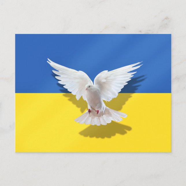 Taube des Friedens - Flagge der Ukraine - Freiheit Postkarte (Vorderseite)