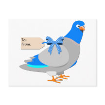 Taube / Geben Sie ihnen die Vogelpostkarte
